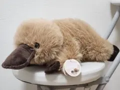 Item thumbnail for item c40571a6-79dd-408f-9128-e98e72916d1c