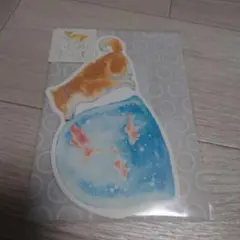 시바이누 딜리셔스 서머 무라타 나츠카 인사말 카드