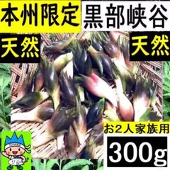 ❤️毎年大人気❣️ ミズの実 みずの実 ミズのコブ みずのこぶ 山菜 山形県産777 ❤️毎年大人気❣️ ミズの実 みずの実 ミズのコブ みずのこぶ 山菜