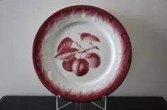 コントワール ドゥ ファミーユ 26cm皿2枚 フランスのおしゃれな食器、コントワール・ドゥ・ファミーユの