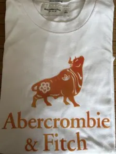 Abercrombie & Fitch Tシャツ ホワイト S 厚地のサムネイル