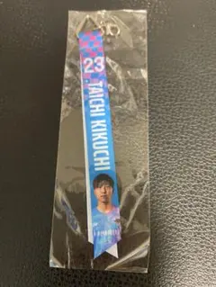 サガン鳥栖　名古屋グランパス　菊地泰智
