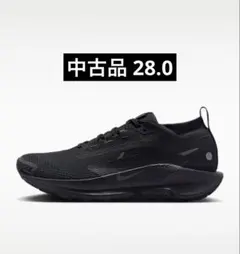 NIKE ペガサストレイル5 GTX 28cm US10