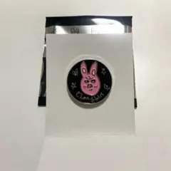 Stray Kids スキズ 展覧会 ピンバッジ トゥエッキ トェッキのサムネイル