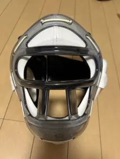 Item thumbnail for item baa9a5d6-b97c-476f-b0f4-ec622494ca3b