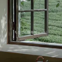 ちぴごん様専用ページ