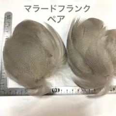 Item thumbnail for item c9caba0c-42db-4fe0-bbd1-0460ed689a6f