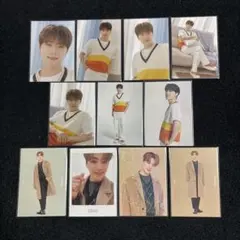 SEVENTEEN winter Home トレカ　ディノ