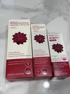 【新品未開封】コレオロジー錠剤60錠 コレオロジーティープロ30包 フードロジー FOODOLOGY / コレオロジー 60錠の商品情報｜美容・化粧品情報は