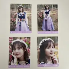 乃木坂46 生田絵梨花 生写真 最後のTight Hug 個別生写真 コンプ
