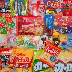 49✨お菓子詰め合わせ✨【地域限定商品あり】お菓子まとめ売りエリーゼ／／１４－３