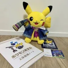 ポケモン天文台、ほしぞらピカチュウ2体 - メルカリ