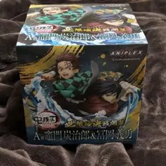 鬼滅の刃 アニプレックスオンラインくじ A賞 竈門炭治郎 & 冨岡義勇