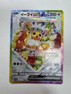 テラスタルフェスexイーブイ sar