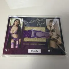 風吹ケイ3 ～EVOLUTION～ ガーターベルトカード #14/29