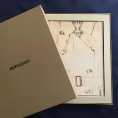 アリス・ベイリー 著作集 33冊 全巻 セット AABライブラリー 希少