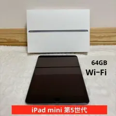 【箱あり】iPad mini 第5世代 64GB SIMフリー WiFiモデル