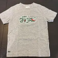 LACOSTE グレー Tシャツのサムネイル