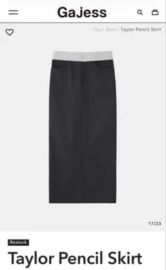 Gajess Taylor Pencil skirt ネイビー ストライプ 36 - メルカリ
