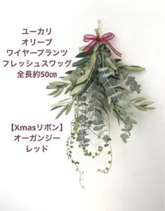 ユーカリ オリーブ ワイヤープランツ フレッシュ スワッグ 【Xmasリボン】
