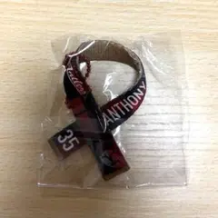 鹿島アントラーズ プレイヤーズ ミニタオルマフラーキーホルダー 35 アントニー