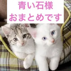 青い石様 リクエスト 3点 まとめ商品