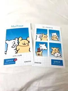 Maltese ID PHOTO　スマロイド2枚セット