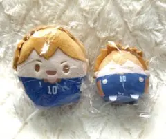 メイトくじ　ハイキュー　D.E賞セット　日向