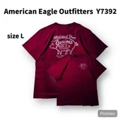 【即購入OK】AMERICAN EAGLE 半袖Tシャツ　サイズL レッド