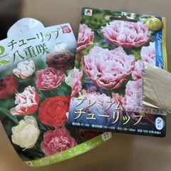 miu❣️様 リクエスト 2点 まとめ商品