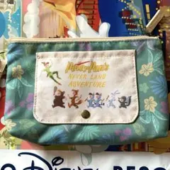 ディズニーシー　ピーターパン　スーベニア　おてふきキャリー