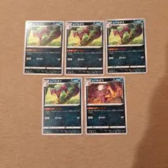 レパルダス 5枚セット