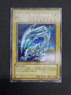 遊戯王 青眼の白龍 DDS-001 英語版 BGS 9 鑑定品 遊戯王 青眼の白龍 DDS-001 英語版 BGS 9 鑑定品 - メルカリ
