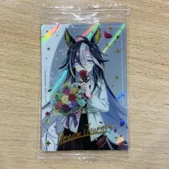 ウマ娘 プリティーダービー ツインウエハース 2025 ドリームジャーニー