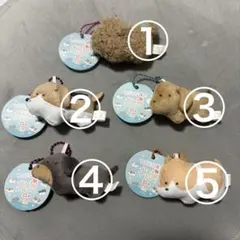 つぶらな瞳のシリーズ他
