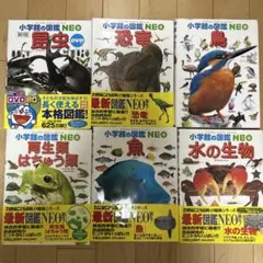 小学館の図鑑　6冊セット