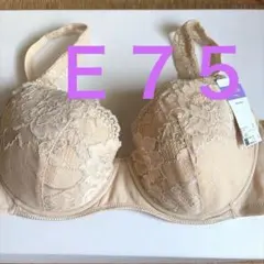 Wing Tuyaka ブラジャー E75 ベージュのサムネイル