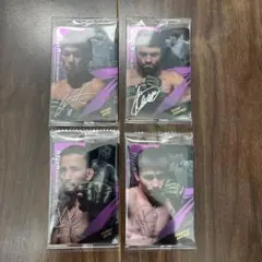 Item thumbnail for item 7a18f7ad-d9bd-4657-b496-5d98229020c9