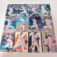 2024 プロ野球チップスカード まとめ売り