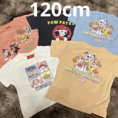 PAW PATROL/パウパトロール/パウパト/Tシャツ/まとめ売り/120/