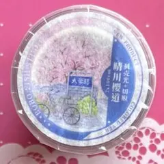 PET 高楼林立 6cm×5m 海外マスキングテープ 海外マステ 高層ビル