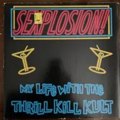 My Life With The Thrill Kill Kult 12"