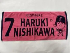 Item thumbnail for item 867ccf70-5c8a-4b8d-a61b-f293ec2fd8ce