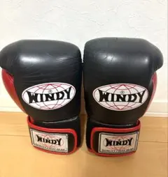 WINDY ボクシンググローブ 8oz BGP ブラック レッド