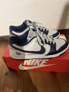 NIKE DUNK LOW EMB 75th nets ダンク　ネッツ