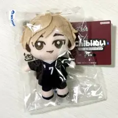 ハイキュー‼︎ Chibiぬい おすわりマスコット 宮侑