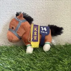 2025年最新】サラブレッドコレクション ウオッカの人気アイテム - メルカリ