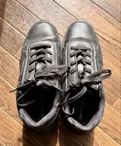 Item thumbnail for item bfd9e107-663e-49f1-924e-ff08ed627f5a