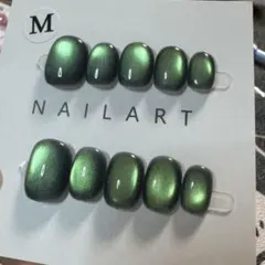 【セツ】マグネット　ネイルチップ　付け爪（0510）