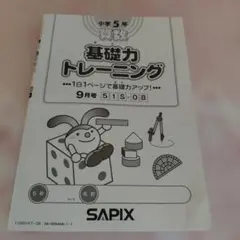 ほぼ未使用】サピックス 基礎力トレーニング 4年生1月2021 - メルカリ